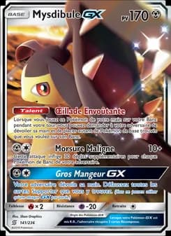 Carte Pokémon