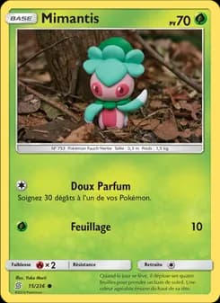 Carte Pokémon