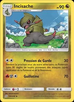Carte Pokémon