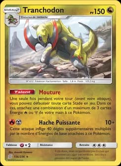 Carte Pokémon