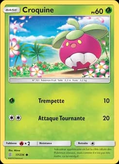 Carte Pokémon