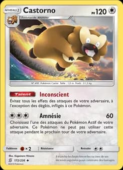 Carte Pokémon