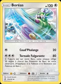 Carte Pokémon