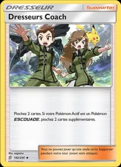 Carte Pokémon