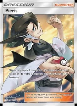 Carte Pokémon