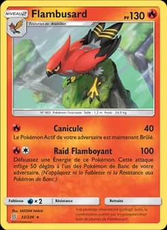 Carte Pokémon