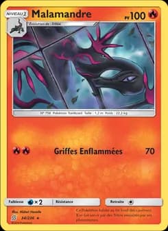 Carte Pokémon