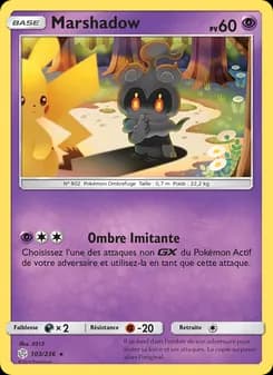 Carte Pokémon