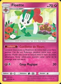 Carte Pokémon