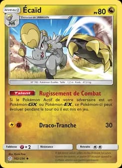Carte Pokémon