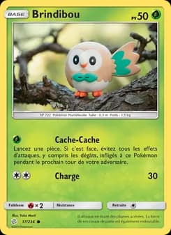 Carte Pokémon