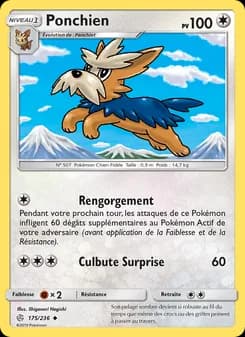 Carte Pokémon