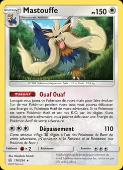 Carte Pokémon