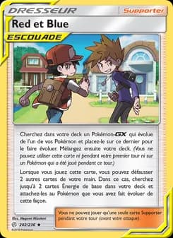 Carte Pokémon