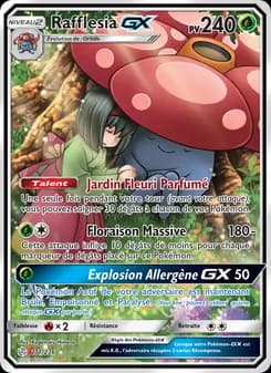 Rafflesia GX 211 — Éclipse Cosmique