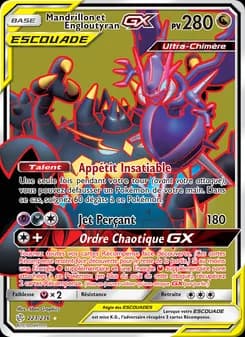Carte Pokémon