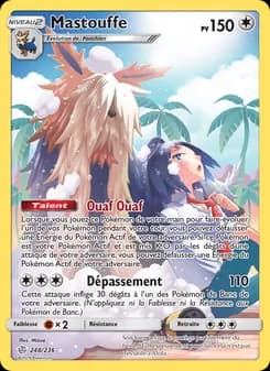 Carte Pokémon