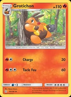 Carte Pokémon