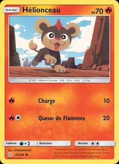 Carte Pokémon