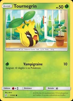 Carte Pokémon