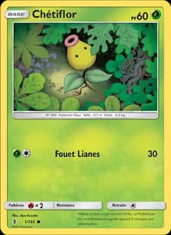 Carte Pokémon