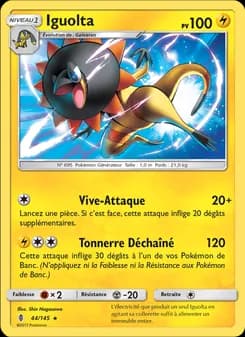 Carte Pokémon