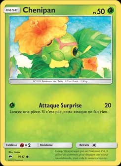 Carte Pokémon