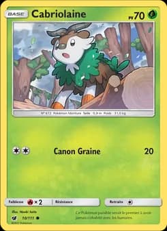 Carte Pokémon