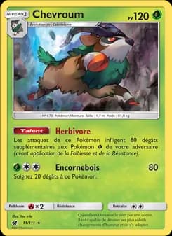 Carte Pokémon
