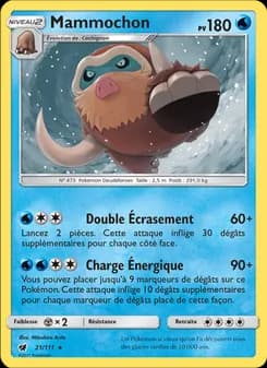 Carte Pokémon