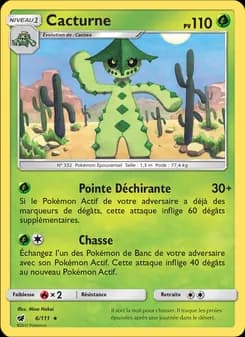 Carte Pokémon