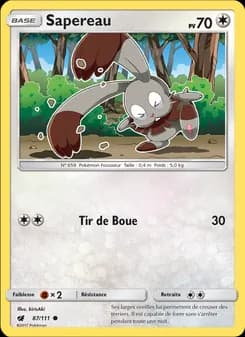 Carte Pokémon