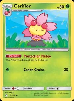 Carte Pokémon