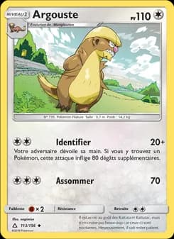 Carte Pokémon