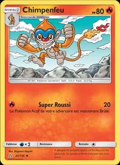 Carte Pokémon