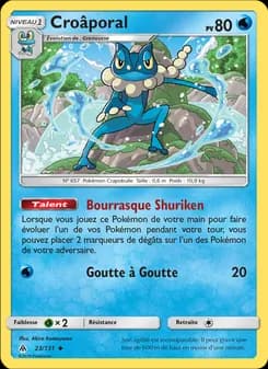 Carte Pokémon