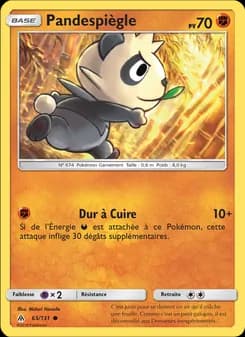 Carte Pokémon