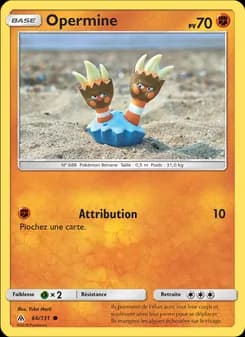 Carte Pokémon