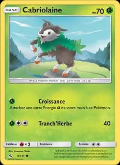 Carte Pokémon