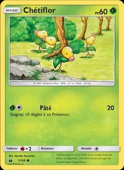 Carte Pokémon