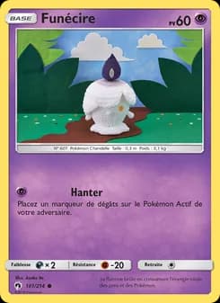 Carte Pokémon