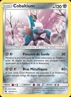 Carte Pokémon