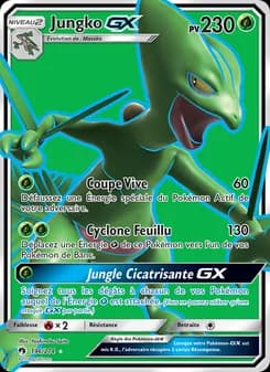 Jungko GX 196 — Tonnerre Perdu