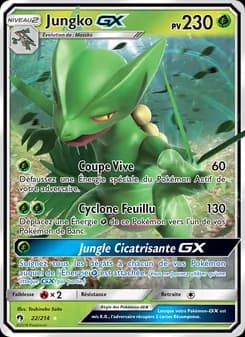 Carte Pokémon