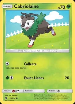 Carte Pokémon