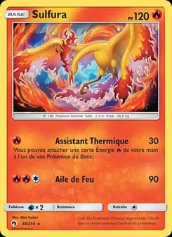 Carte Pokémon