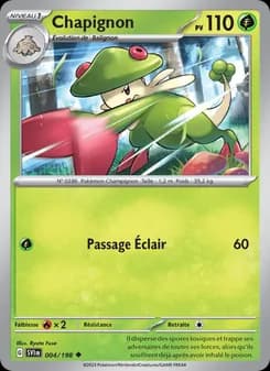 Carte Pokémon
