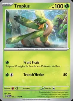 Carte Pokémon