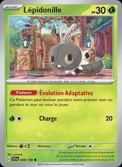 Carte Pokémon