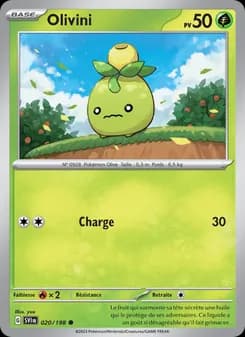 Carte Pokémon